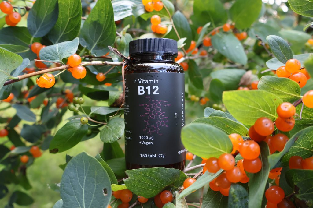 B12 berries
